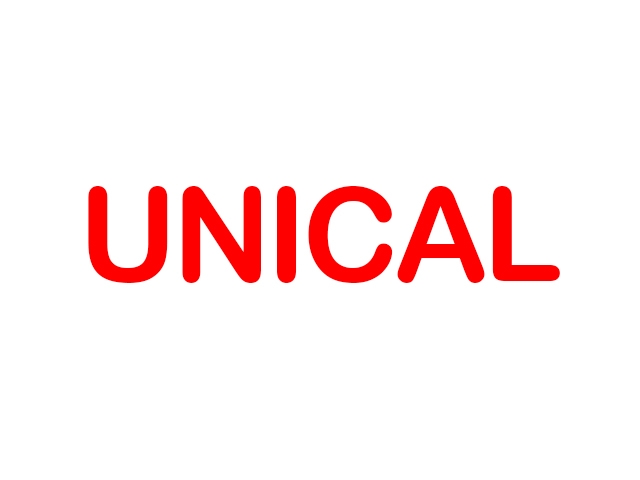 Unical Kombi Servisi
