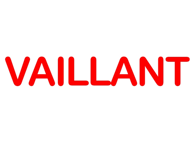 Vaillant Ankara Vaillant Ankara